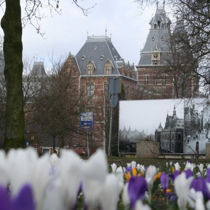 Rijks museum et crocus flous au premier plan
