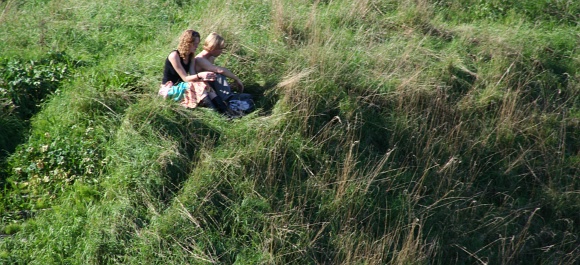 panoramique dans l'herbe