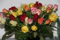 bouquet de roses