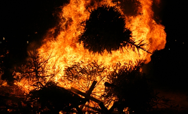 feu de sapin