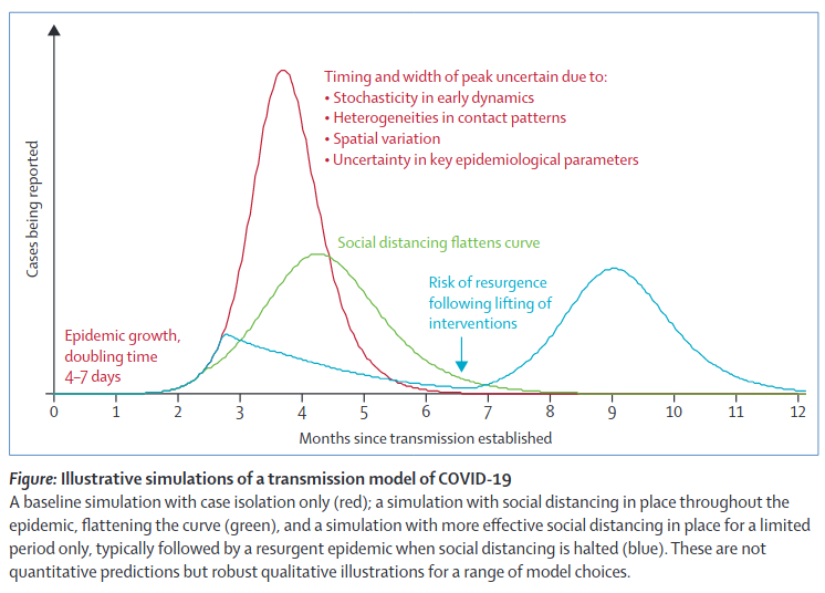 A baseline simulation with case isolation only (red); a simulation with social distancing in place throughout the epidemic, flattening the curve (green), and a simulation with more effective social distancing in place for a limited period only, typically followed by a resurgent epidemic when social distancing is halted (blue). These are not quantitative predictions but robust qualitative illustrations for a range of model choices.